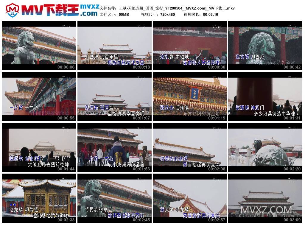 王斌-天地龙鳞_国语_流行_YF200504